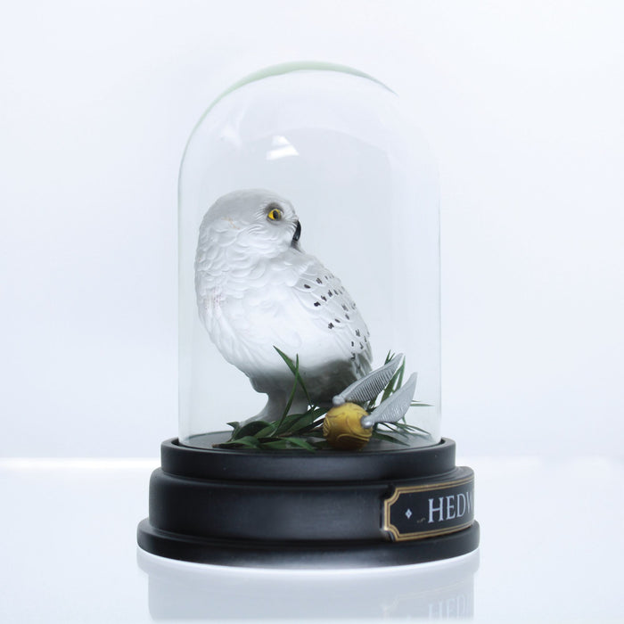 WZDWLD Hedwig Curiosity Cloche