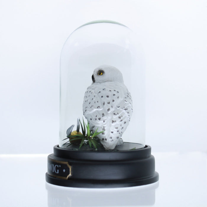 WZDWLD Hedwig Curiosity Cloche