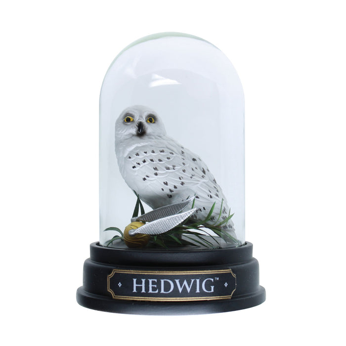 WZDWLD Hedwig Curiosity Cloche