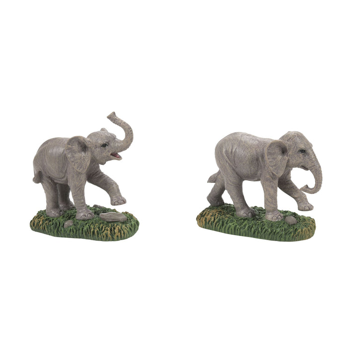 Zoological Garden Elephant st2
