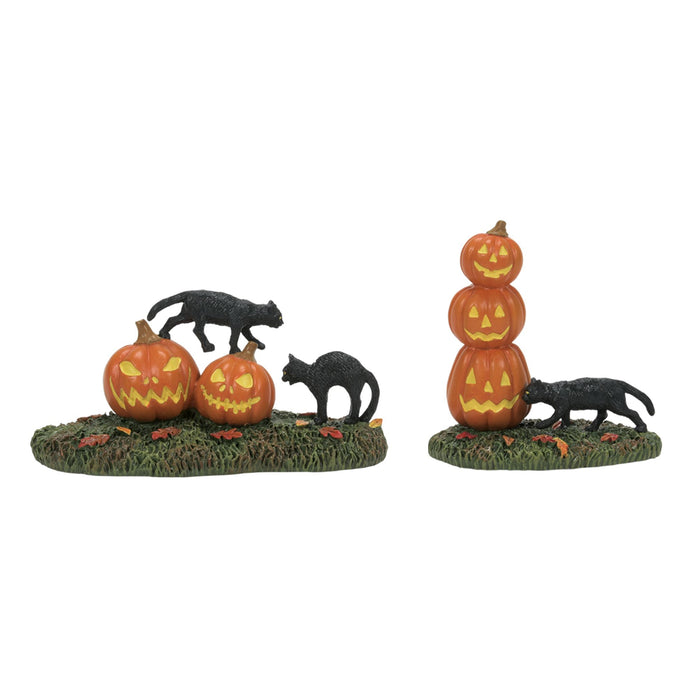 Scary Cats Pumpkins ST/2