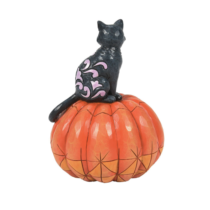 Black Cat on Pumpkin LED Fig