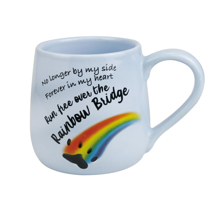 Rainbow Bridge Etched Mug